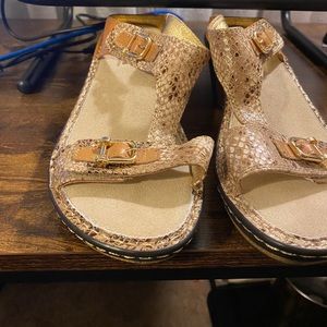 Algeria Wedge Heel Size 38